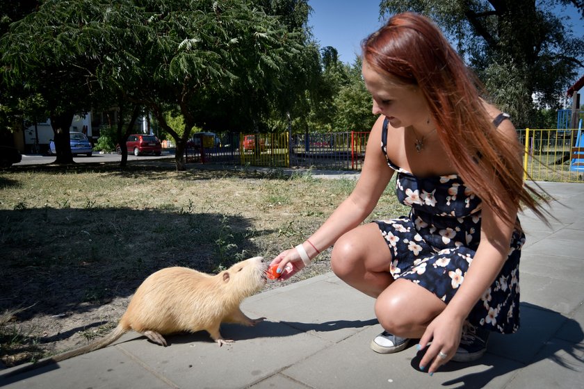 Karolina jest szczęśliwą właścicielką nutrii !