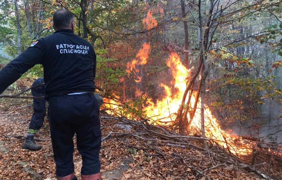 Požar na Staroj planini