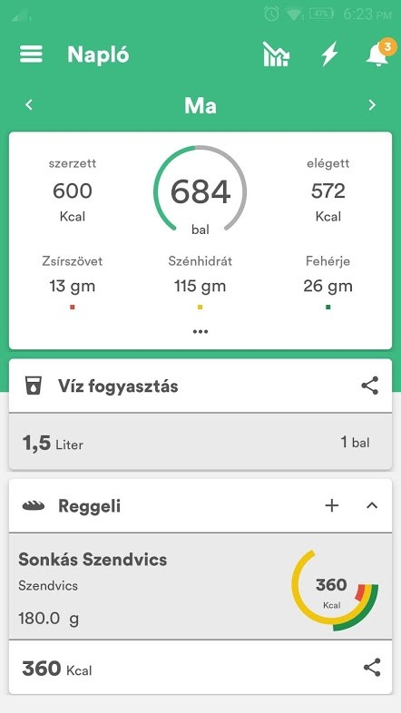 A Diéta & Fitness app sok adattal számol, az elfogyasztott ételeket kell megadnunk.