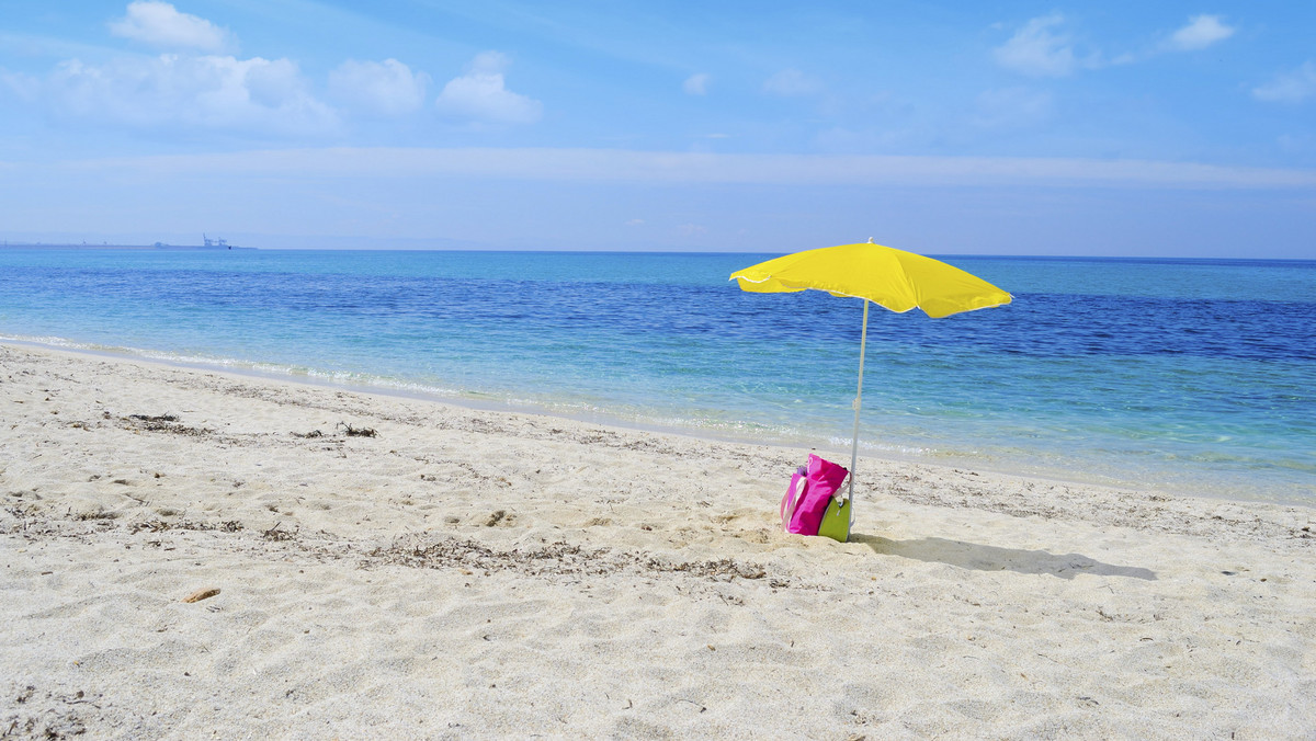 Flet, mikroskop i sztuczne szczęki - takie przedmioty zostawili turyści na włoskich plażach. Ranking najbardziej osobliwych i najczęściej zapominanych rzeczy sporządził związek najemców plaż. Okulary słoneczne należą do najczęściej znajdowanych przedmiotów.