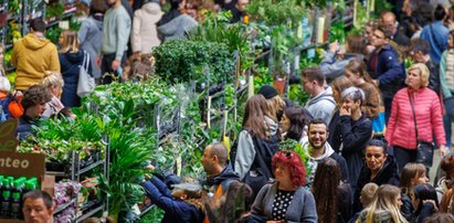 W Spodku trwa Festiwal Roślin. Wybierzcie się!