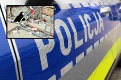 Okradł plebanię i zaczął uciekać. Takiego finału się nie spodziewał