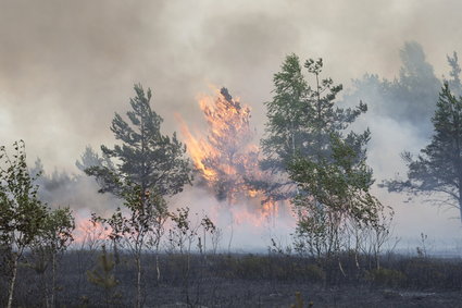 Rekordowe emisje potężnego gazu cieplarnianego. "Niezwykle niepokojące"