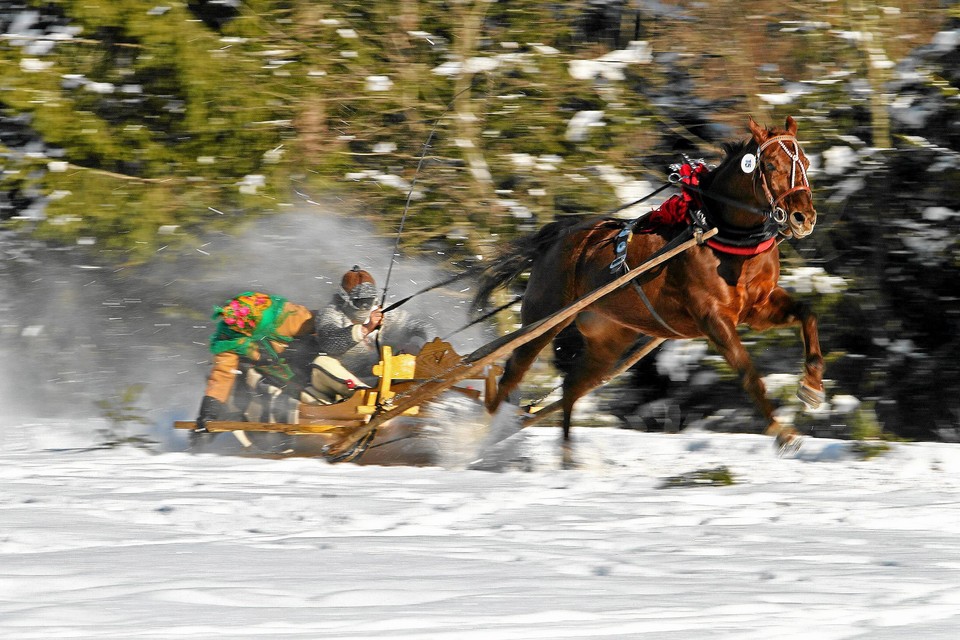 KUMOTERSKA GONBA