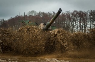 K2 z Braniewa, czyli koty w środowisku naturalnym. Czarne Pantery w polu