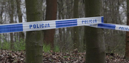Tragedia w Borowinach. Brat postrzelił 11-letnią siostrę z karabinu