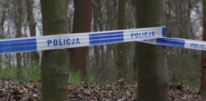 Tragedia w Borowinach. Brat postrzelił 11-letnią siostrę z karabinu