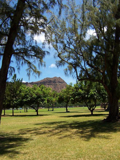 Galeria USA - Hawaje - Honolulu i wyspa Oahu, obrazek 16