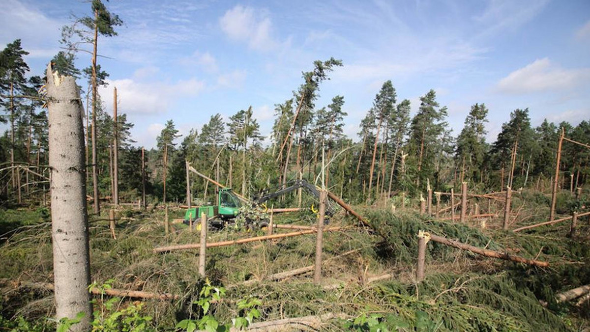 Z lasów w obrębie Regionalnej Dyrekcji Lasów Państwowych w Toruniu, które najbardziej dotknęły sierpniowe nawałnice, dotąd usunięto jedną piątą powalonych drzew. Uprzątanie potrwa do końca 2018 r., a w nadleśnictwach Rytel i Runowo - do połowy 2019 r.