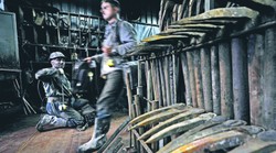 Przywileje, nasza ukryta codzienność. Kto w Polsce ma taryfę ulgową?