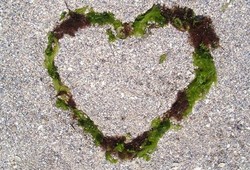 Mężczyzna to wieczne dziecko