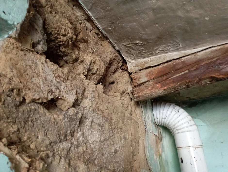 Udžerica nije uslovna za život teško obolelog čoveka i trudne žene