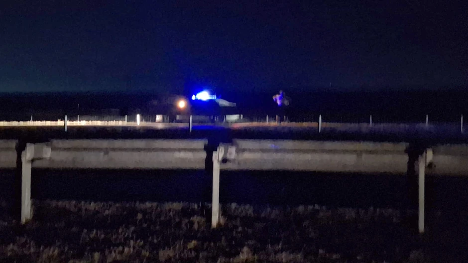 Ovde je pronađena Milica Asanović