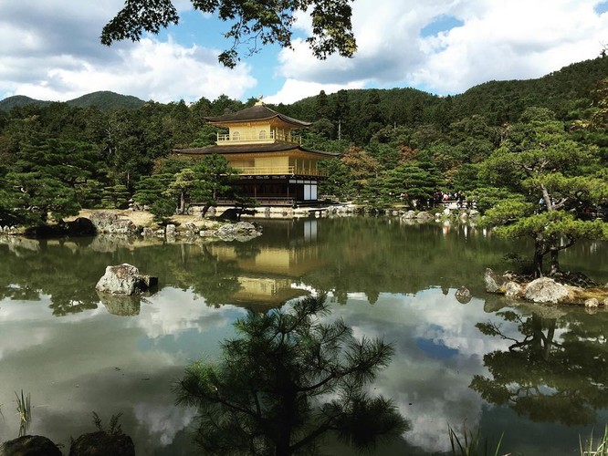 Japonia w obiektywie Brodki