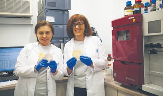 Przebić gronkowca. Enzobiotyk od warszawskich naukowców