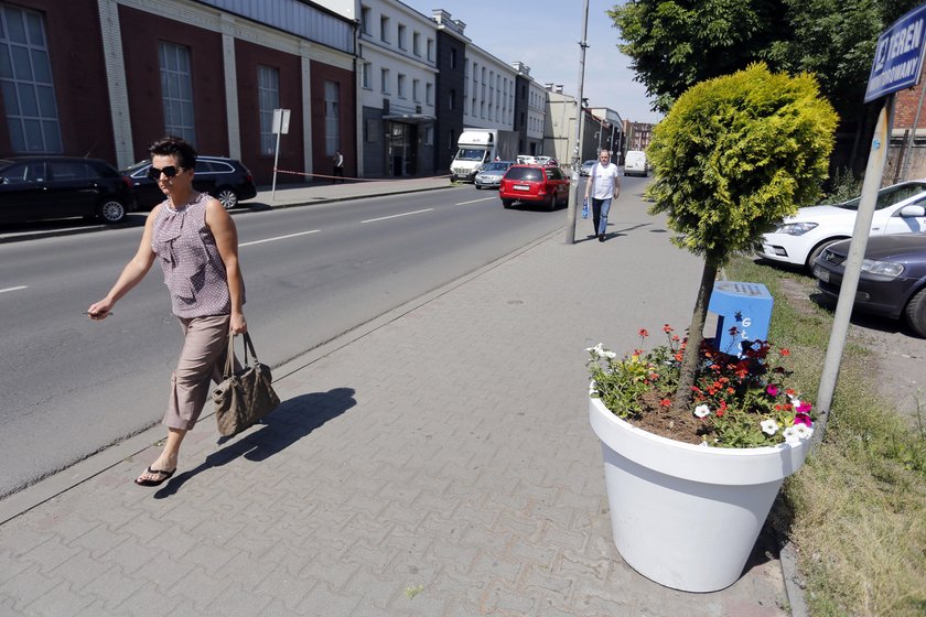 Donice na ulicach Siemianowic Śląskich