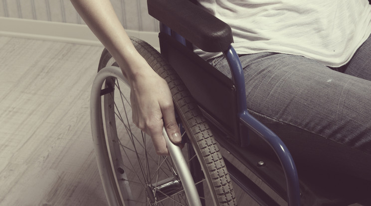 TErvek vannak a fogyatékkal élő emberekkel / Illusztráció: Northfoto