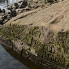 Hunger Stone