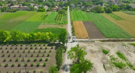 Branko Babić, imanje