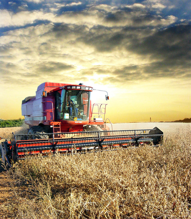 Produkcja zbóż w krajach Unii Europejskiej w tegorocznej kampanii będzie o około 16% wyższa niż przed rokiem - przewiduje ogłoszony w czwartek raport Centrum Badawczego Komisji Europejskiej.
