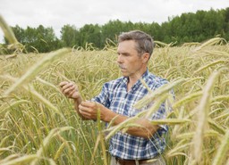 Renty strukturalne pod lupą kontrolerów. Kiedy można stracić świadczenie?