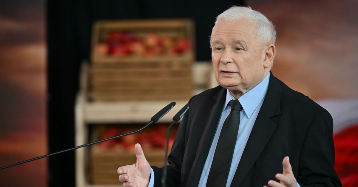 Prezes ma traumę, to dlatego PiS jest przeciwko SAFE. "Maski opadły"