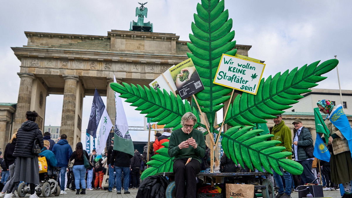 Niemcy zalegalizują posiadanie marihuany. Oto przepisy