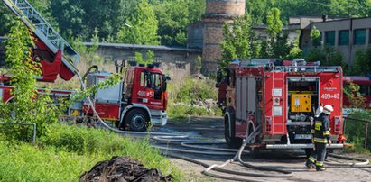 Pożar hali w Pabianicach. Ponad 20 zastępów straży gasi ogień