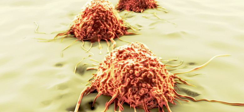 Ta NOWA cząsteczka pobudza komórki odpornościowe do atakowania raka