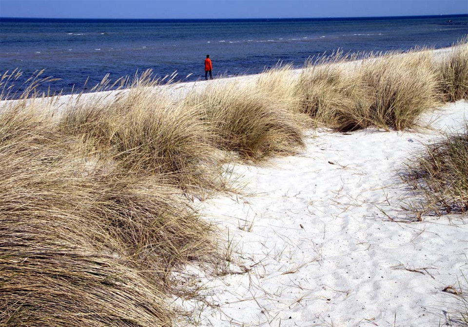 Polskie plaże 2010 - wyniki głosowania - 18