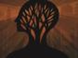 Gorjira 'L’enfant sauvage' - recenzja