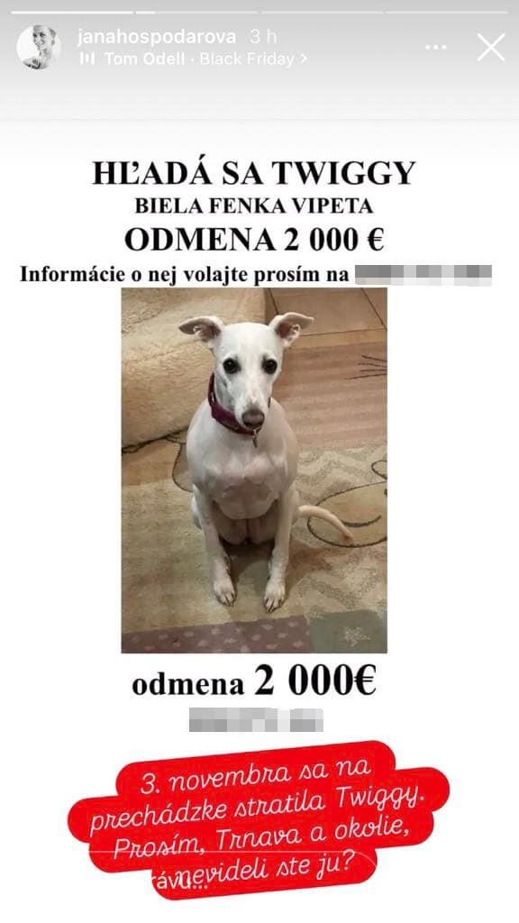 Fenka Twiggy utiekla majiteľke počas venčenia,