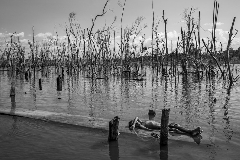 Amazońska dystopia 