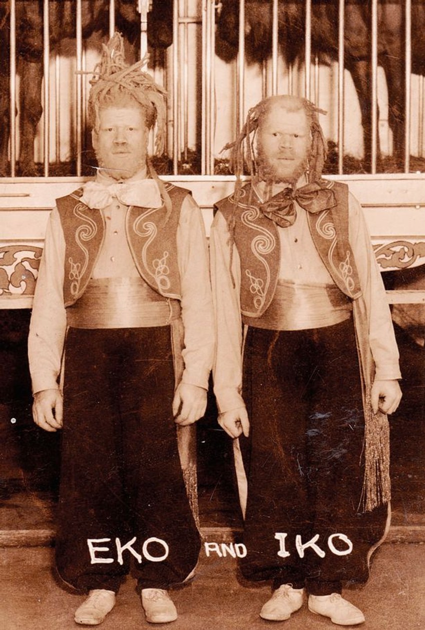 Džordž i Vili Mjuz