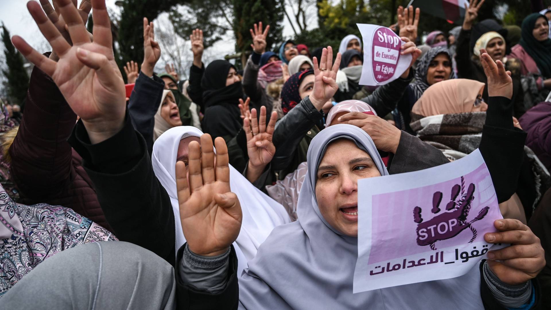 Fast 50 Hinrichtungen in Ägypten in zehn Tagen hier werden