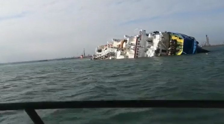 Felborult egy hajó a romániai Midia kikötőben több ezer juhval a fedélzetén /Fotó: YouTube