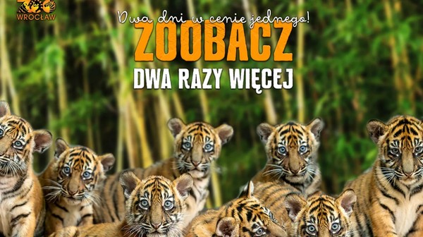 Zoo ma dla Was promocje na ferie. Już można z niej korzystać