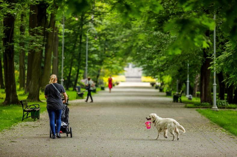 Park Kościuszki 