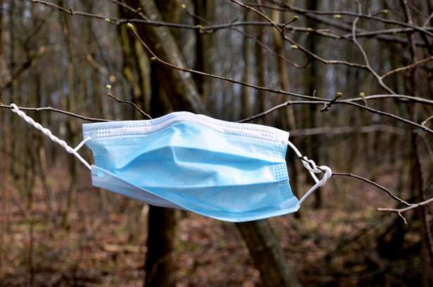 Czy w lasach będzie obowiązek korzystania z maseczki? Odpowiada MŚ