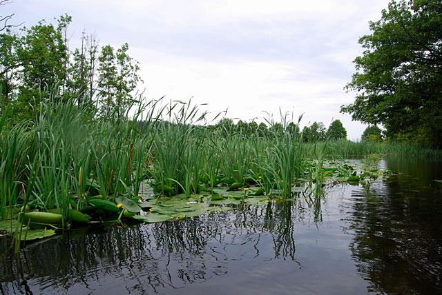 Galeria Polska - Bory Tucholskie, obrazek 6