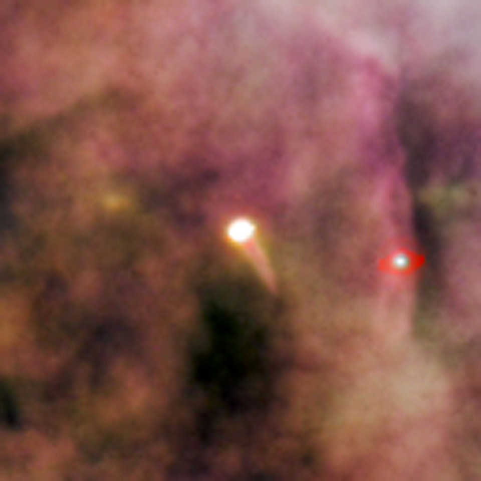 Born in beauty: proplyds in the Orion Nebula