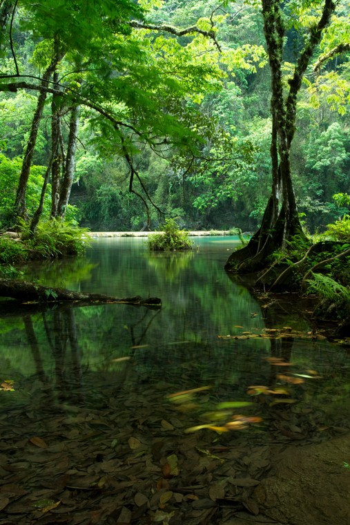 Semuc Champey