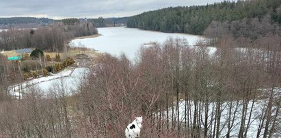 Nietypowe zgłoszenie na służby. Widzicie to na zdjęciu? Trzeba się dobrze przyjrzeć