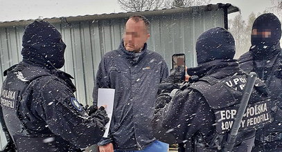 Słał sprośne wiadomości do 11-latki. Obok w łóżku spała jego żona