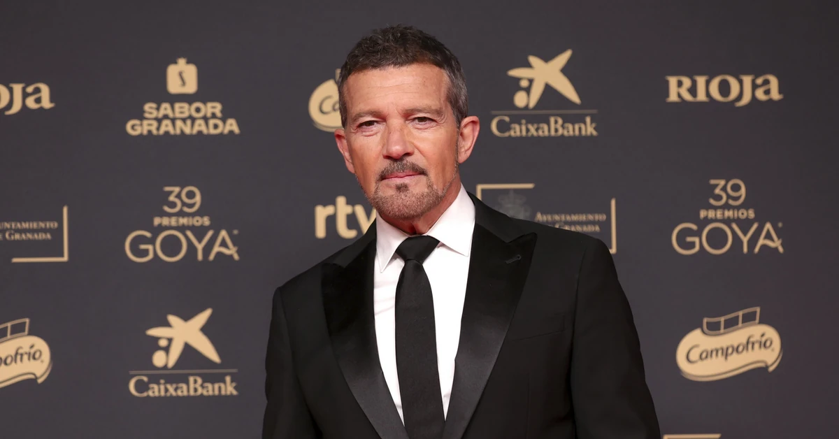 Antonio Banderas ma zięcia Polaka. Kim jest mąż córki gwiazdora Hollywood?