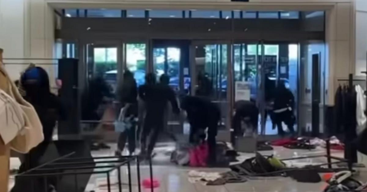 Two Massive 'Flash Mob' Robberies Hit Los Angeles Malls: Video