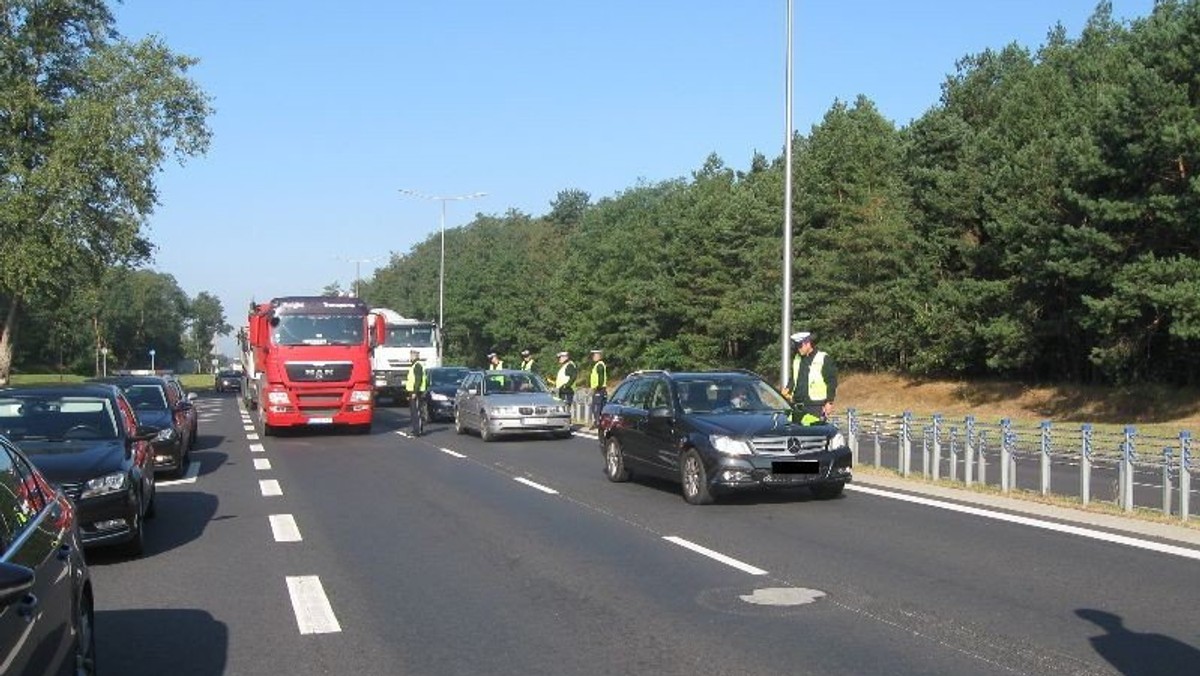 Zielonogórscy policjanci wspomagani przez kolegów z Sekcji Zabezpieczenia Autostrady codziennie w winobraniowe poranki prowadzą działania "Trzeźwy Poranek" na ulicach miasta. Każdego dnia sprawdzanych jest kilkuset kierujących i niestety zdarzają się nietrzeźwi.