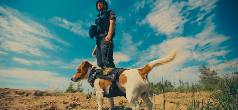 Najpopularniejszy taki film w historii Ukrainy wchodzi do polskich kin