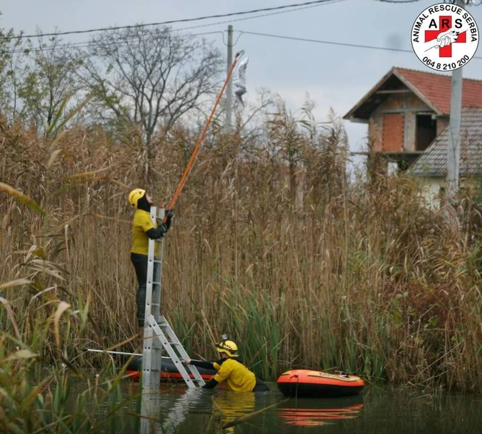 Merdevine su skoro potonule u mulju