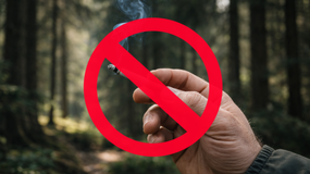 60 tys. zł – rekordowe grzywny dla palaczy papierosów. Gdzie lepiej nie palić?